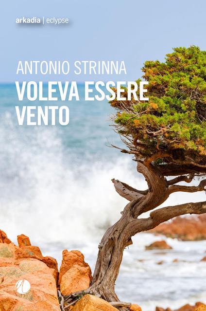 Voleva essere vento - Antonio Strinna - copertina
