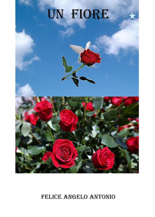 Un fiore - Felice Angelo Antonio - copertina