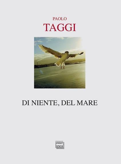 Di niente, del mare - Paolo Taggi - copertina