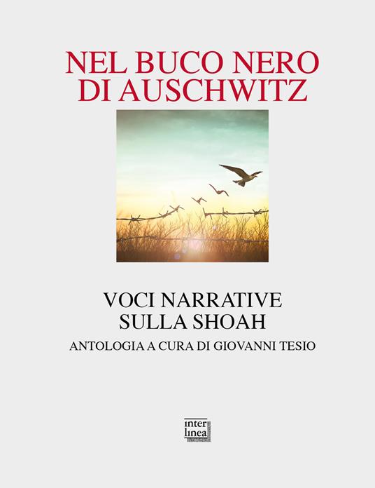 Nel buco nero di Auschwitz. Voci narrative sulla Shoah - copertina