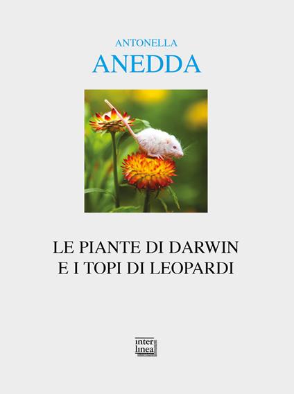 Le piante di Darwin e i topi di Leopardi - Antonella Anedda - copertina