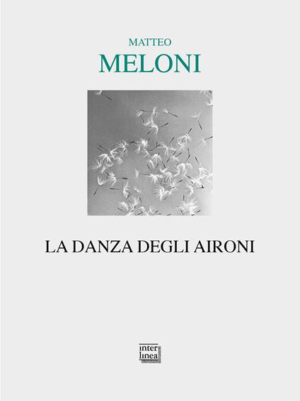 La danza degli aironi - Meloni Matteo - copertina
