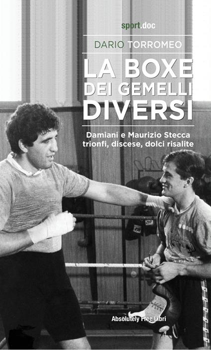 La boxe dei gemelli diversi. Damiani e Maurizio Stecca: trionfi, discese, dolci risalite - Dario Torromeo - ebook