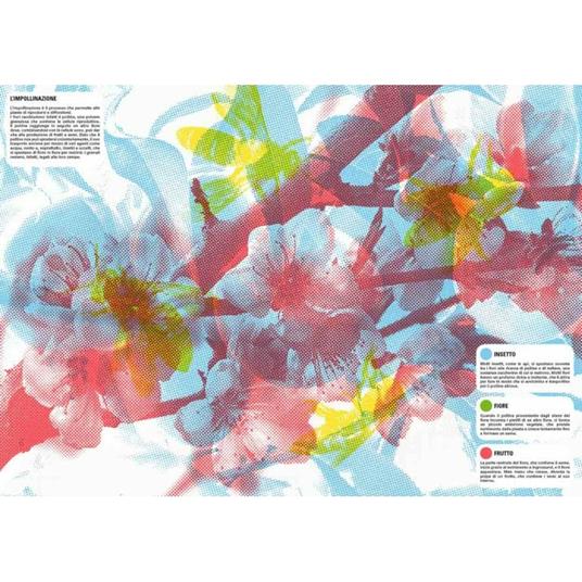 La natura. Libri lente. Ediz. a colori. Con gadget - Irena Trevisan,Ester Tomè - 2