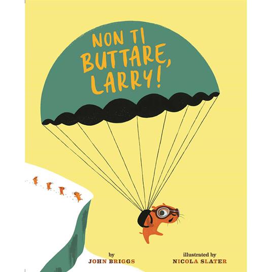 Non ti buttare, Larry! Ediz. a colori - John Briggs - copertina
