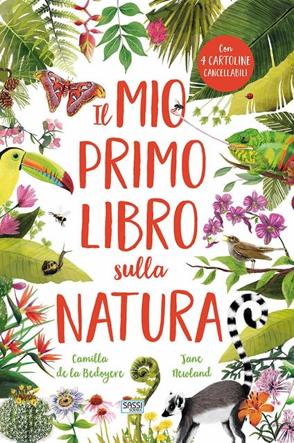 Il mio primo libro sulla natura. Ediz. a colori - Camilla de La Bédoyère - copertina