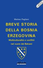 Breve storia della Bosnia Erzegovina. Multiculturalità e conflitti nel cuore dei Balcani
