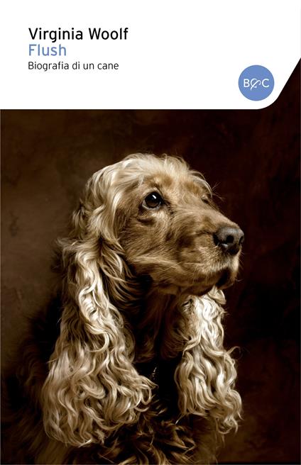 Flush, biografia di un cane - Virginia Woolf - ebook