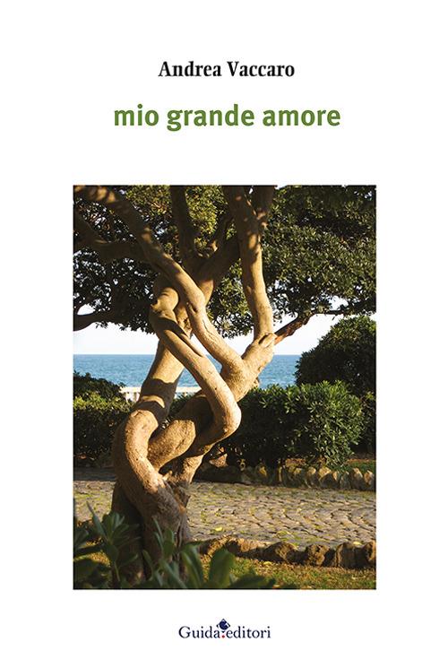 Mio grande amore - Andrea Vaccaro - copertina