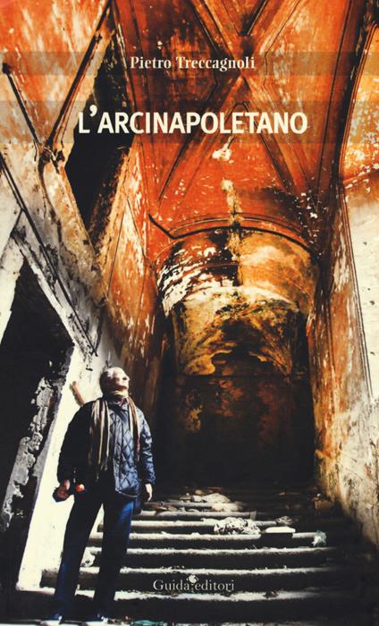 L' arcinapoletano - Pietro Treccagnoli - copertina