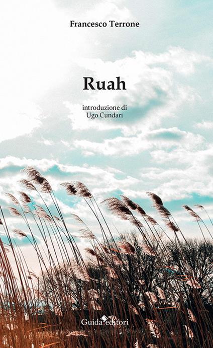 Ruah - Francesco Terrone - copertina