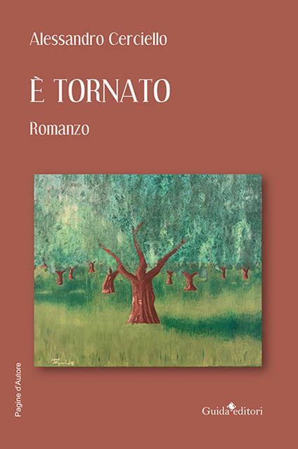 È tornato - Alessandro Cerciello - copertina