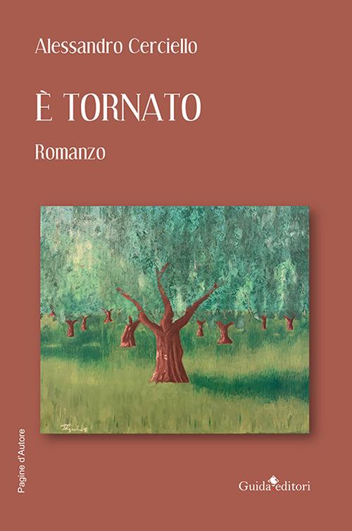 È tornato - Alessandro Cerciello - copertina