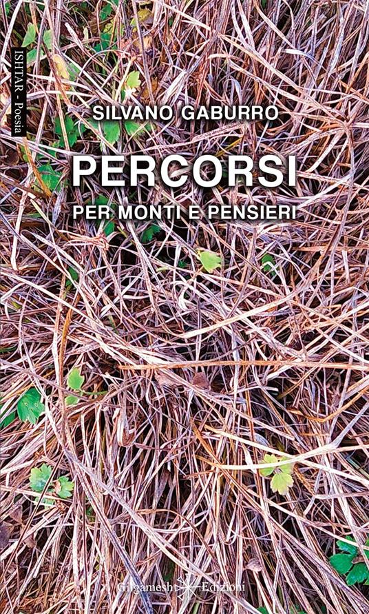 Percorsi. Per monti e pensieri. Con Libro in brossura - Silvano Gaburro - copertina