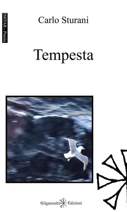 Tempesta - Carlo Sturani - copertina