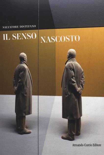 Il senso nascosto - Salvatore Distefano - copertina