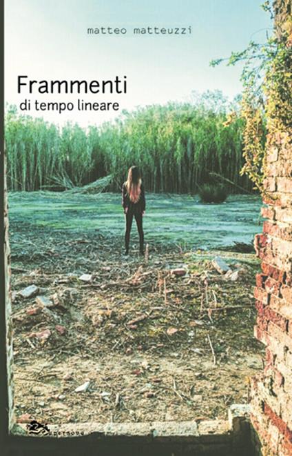 Frammenti di tempo lineare - Matteo Matteuzzi - copertina