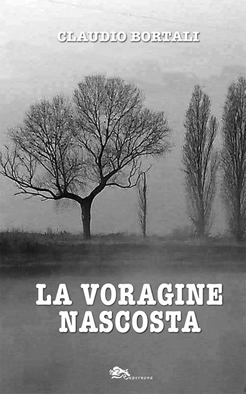 La voragine nascosta - Claudio Bortali - copertina