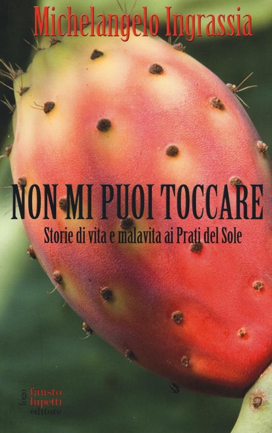 Non mi puoi toccare. Storie di vita e malavita ai Prati del Sole - Michelangelo Ingrassia - copertina