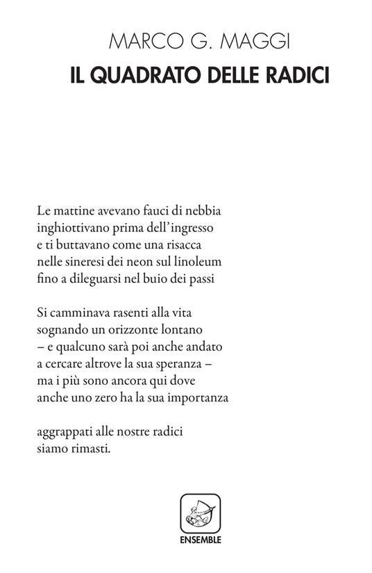 Il quadrato delle radici - Marco G. Maggi - copertina