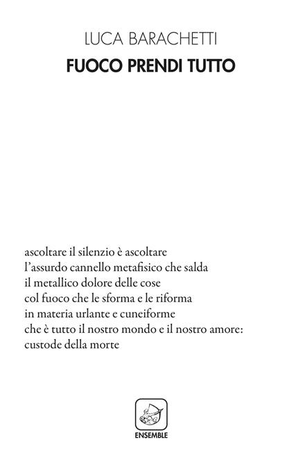 Fuoco prendi tutto - Luca Barachetti - copertina