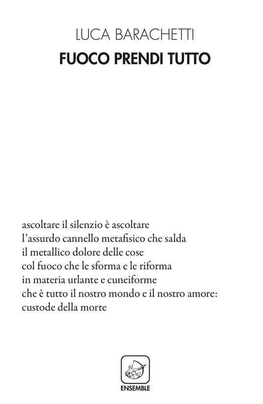 Fuoco prendi tutto - Luca Barachetti - copertina