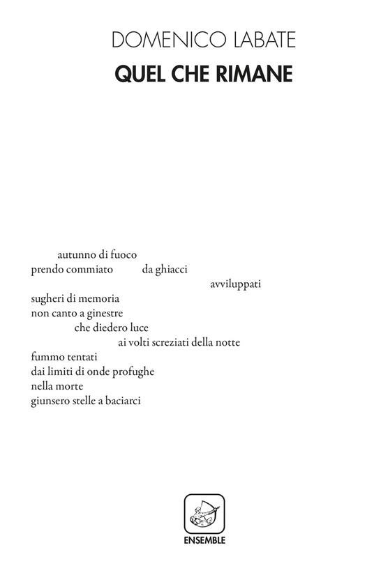 Quel che rimane - Domenico Labate - copertina