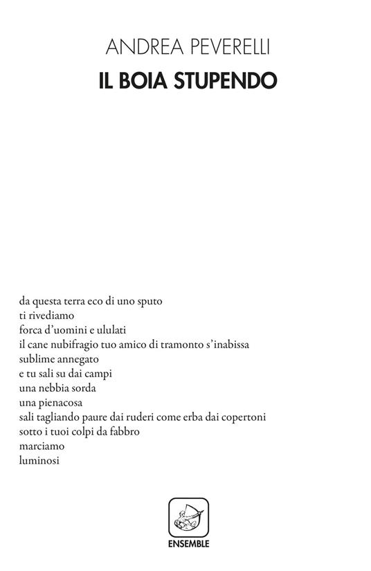 Il boia stupendo - Andrea Peverelli - copertina