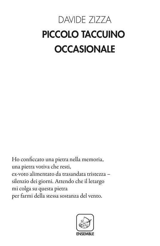 Piccolo taccuino occasionale - Davide Zizza - copertina