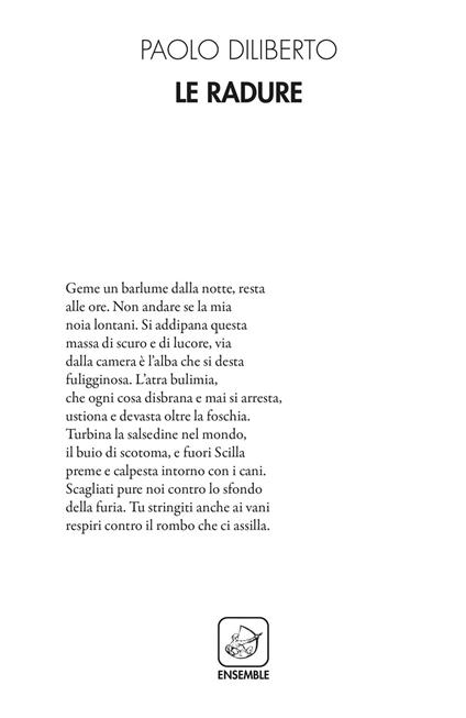 Le radure - Paolo Diliberto - copertina