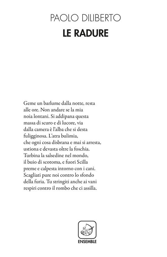 Le radure - Paolo Diliberto - copertina