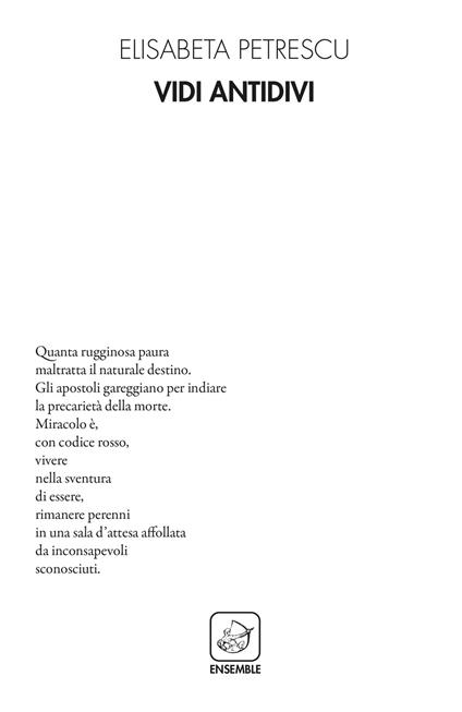 Vidi antidivi - Elisabeta Petrescu - copertina