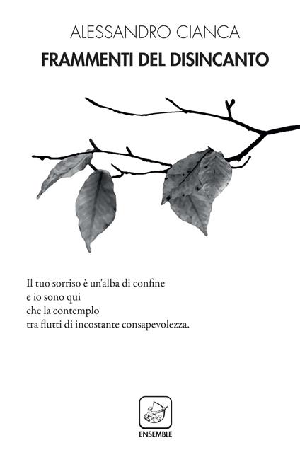 Frammenti del disincanto - Alessandro Cianca - copertina