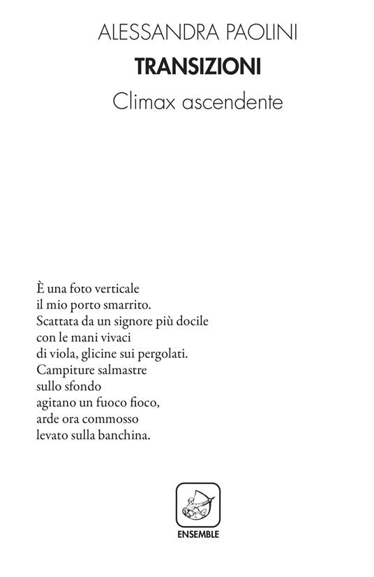 Transizioni. Climax ascendente - Alessandra Paolini - copertina
