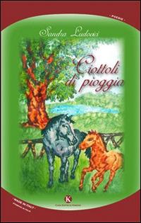 Ciottoli di pioggia - Sandra Ludovici - copertina
