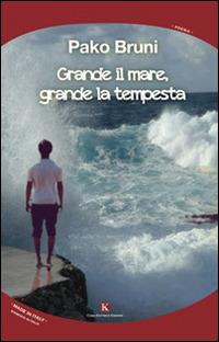 Grande il mare, grande la tempesta - Pako Bruni - copertina