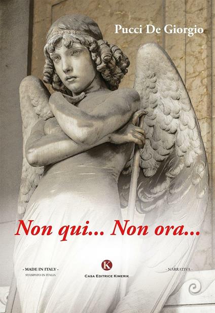 Non qui... Non ora... - Pucci De Giorgio - copertina