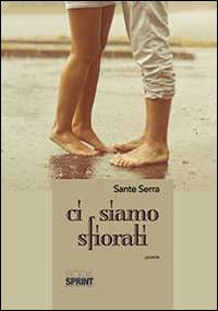 Ci siamo sfiorati - Sante Serra - copertina