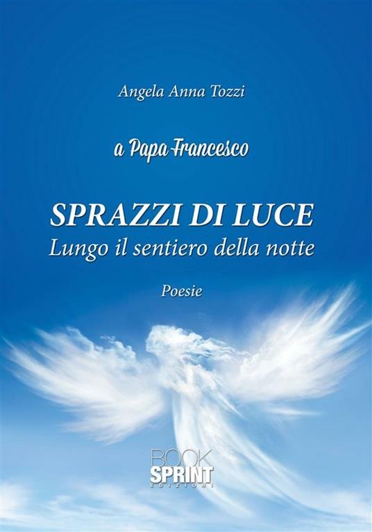 Sprazzi di luce - Angela Anna Tozzi - ebook