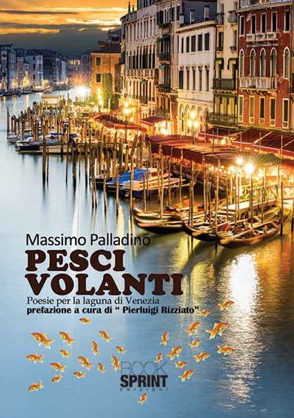 Pesci volanti - Massimo Palladino Minneci - copertina