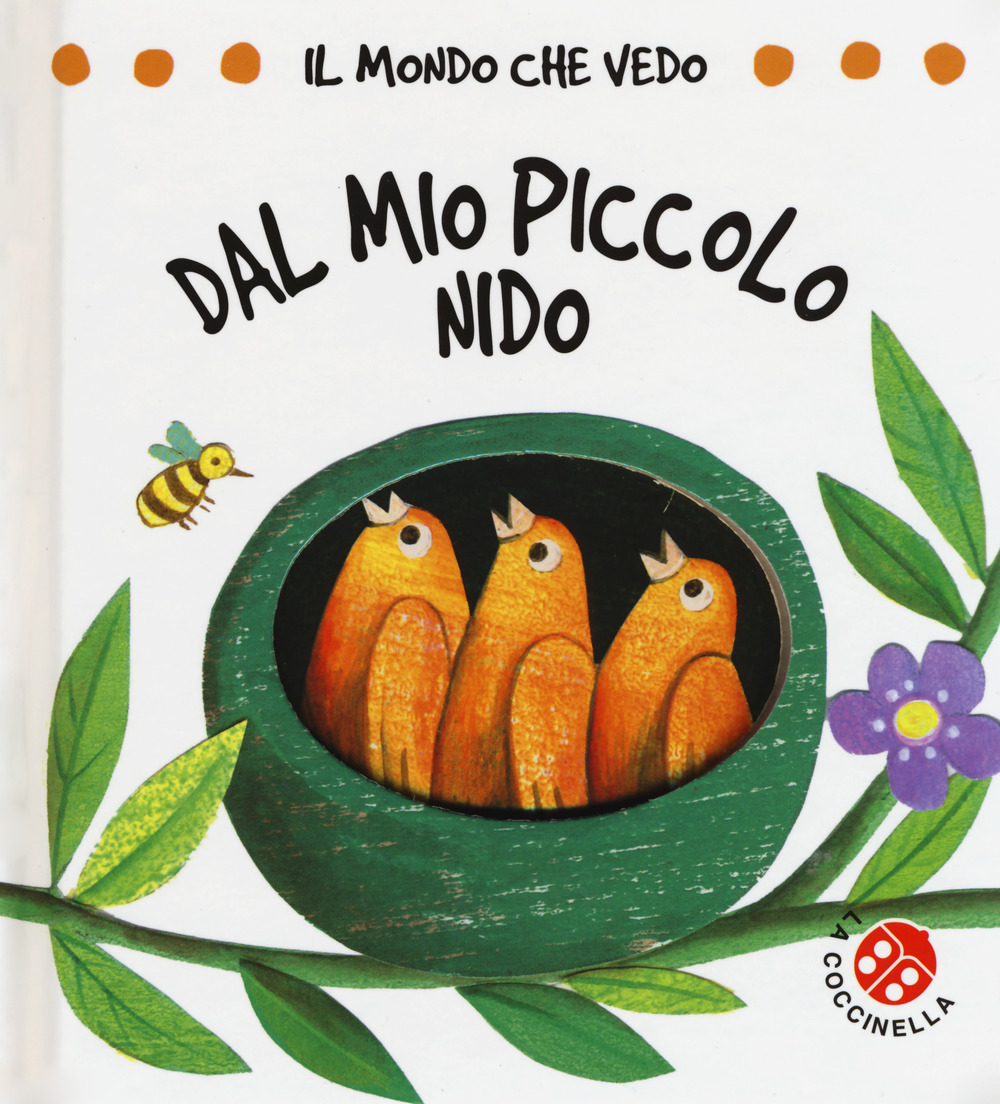 Libraccio