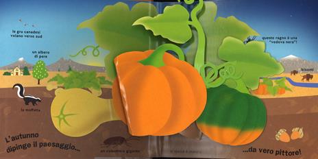 Autunno. Ediz. a colori - David A. Carter - 2