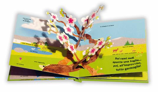 Primavera. Libro pop-up. Ediz. a colori - David A. Carter - 3