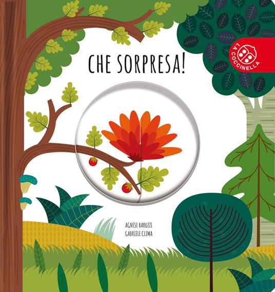 Che sorpresa! Ediz. a colori - Agnese Baruzzi,Gabriele Clima - copertina