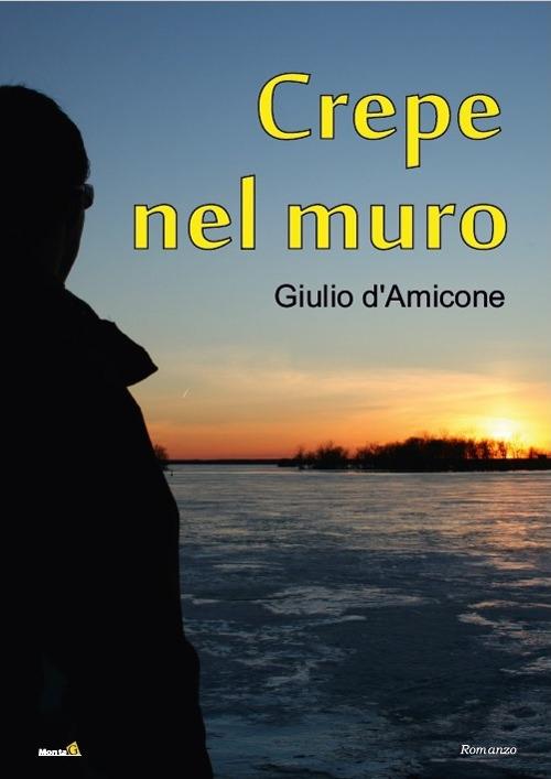 Crepe nel muro - Giulio D'Amicone - copertina