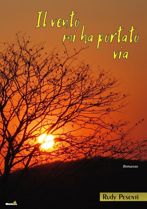 Il vento mi ha portato via - Rudy Pesenti - copertina