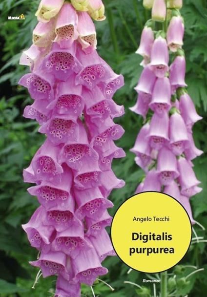 Digitalis purpurea - Angelo Tecchi - copertina