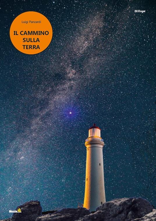 Il cammino sulla Terra - Luigi Panzardi - copertina