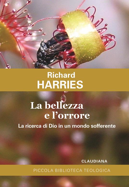 La bellezza e l'orrore. La ricerca di Dio in un mondo sofferente - Richard Harries - copertina