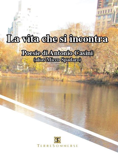 La vita che si incontra - Antonio Casini - copertina